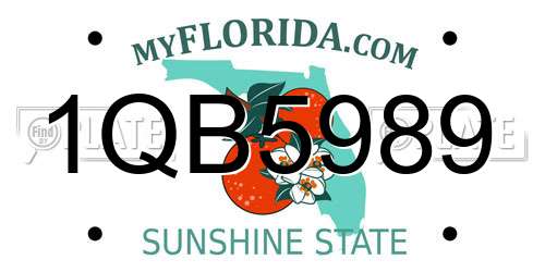 1QB5989 Florida License Plate