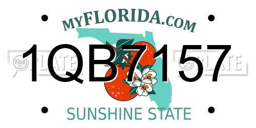 1QB7157 Florida License Plate