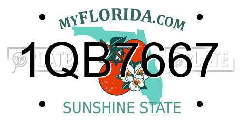 1QB7667 Florida License Plate