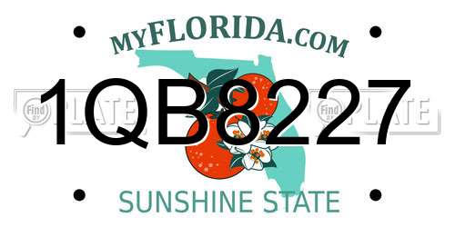 1QB8227 Florida License Plate