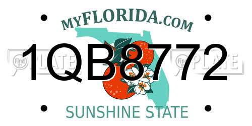 1QB8772 Florida License Plate