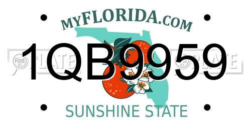 1QB9959 Florida License Plate