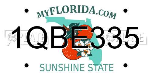 1QBE335 Florida License Plate