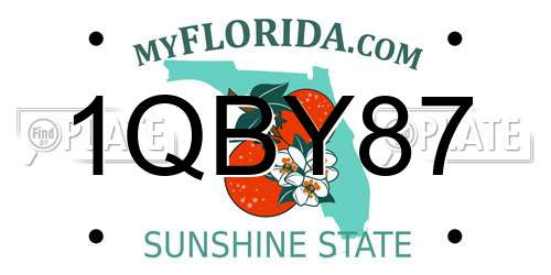 1QBY87 Florida License Plate