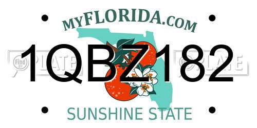 1QBZ182 Florida License Plate