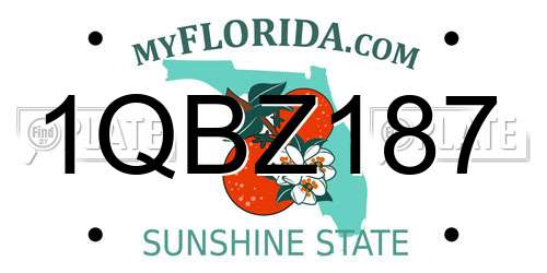 1QBZ187 Florida License Plate