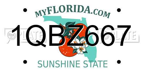1QBZ667 Florida License Plate