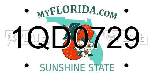 1QD0729 Florida License Plate