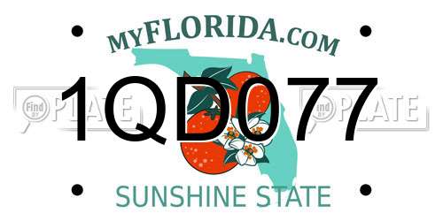 1QD077 Florida License Plate