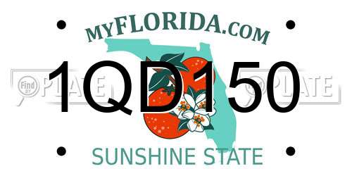 1QD150 Florida License Plate