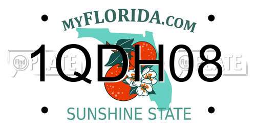 1QDH08 Florida License Plate