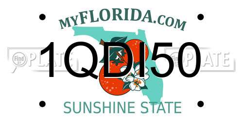 1QDI50 Florida License Plate