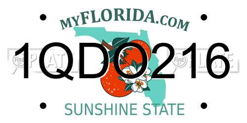 1QDO216 Florida License Plate