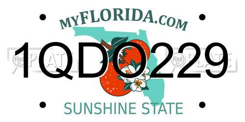 1QDO229 Florida License Plate