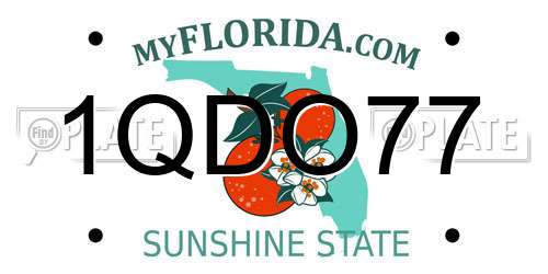 1QDO77 Florida License Plate