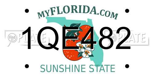 1QE482 Florida License Plate