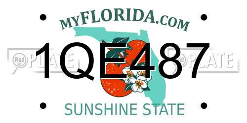 1QE487 Florida License Plate