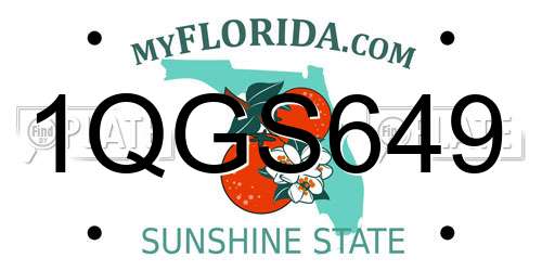 1QGS649 Florida License Plate