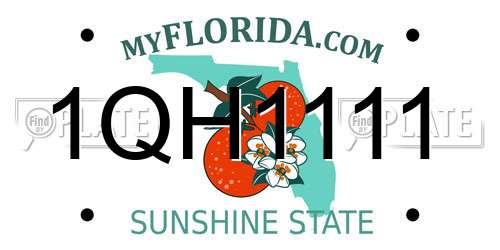 1QH1111 Florida License Plate