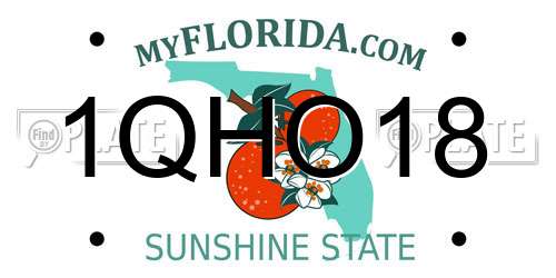 1QHO18 Florida License Plate