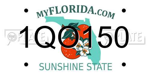 1QO150 Florida License Plate