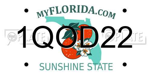 1QOD22 Florida License Plate