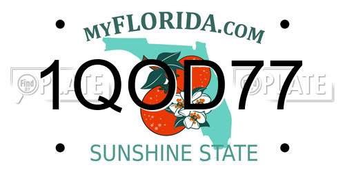 1QOD77 Florida License Plate