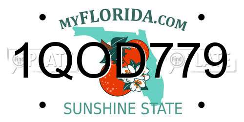 1QOD779 Florida License Plate