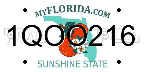 1QOO216 Florida License Plate