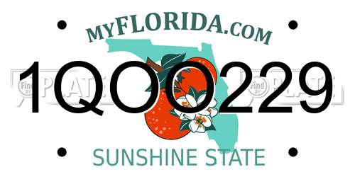 1QOO229 Florida License Plate