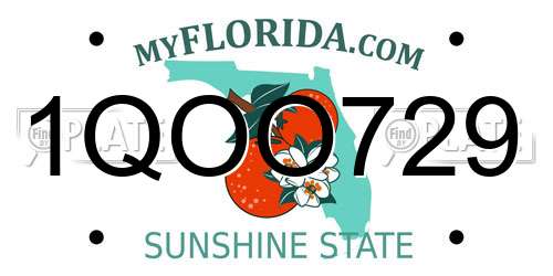1QOO729 Florida License Plate