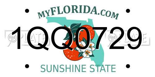 1QQ0729 Florida License Plate