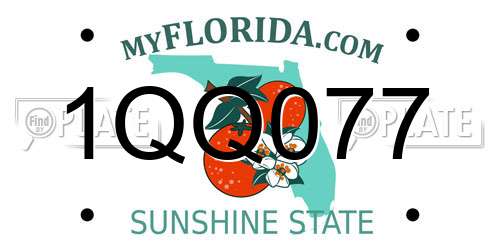1QQ077 Florida License Plate