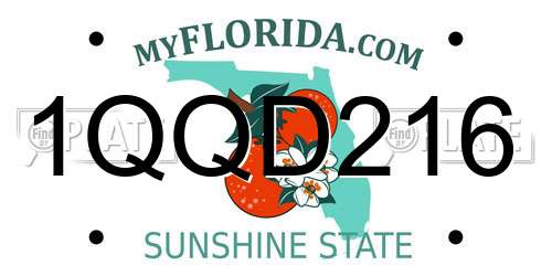1QQD216 Florida License Plate