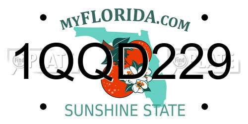 1QQD229 Florida License Plate