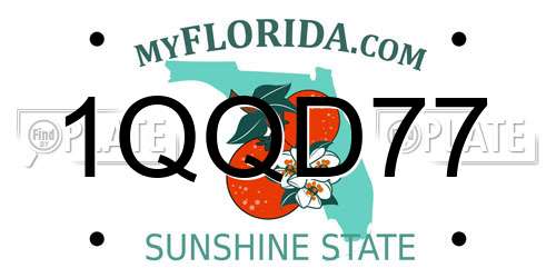1QQD77 Florida License Plate