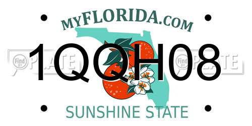 1QQH08 Florida License Plate
