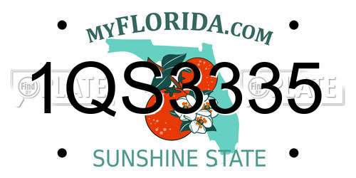 1QS3335 Florida License Plate