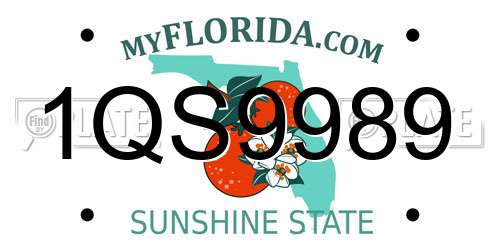 1QS9989 Florida License Plate
