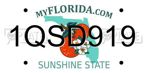 1QSD919 Florida License Plate