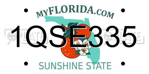 1QSE335 Florida License Plate