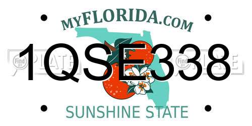 1QSE338 Florida License Plate