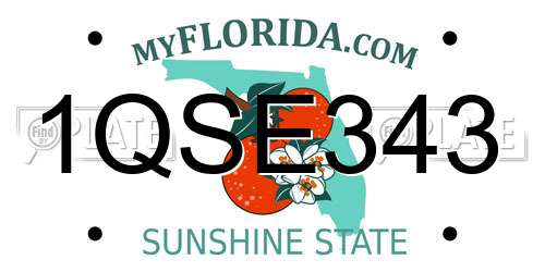 1QSE343 Florida License Plate
