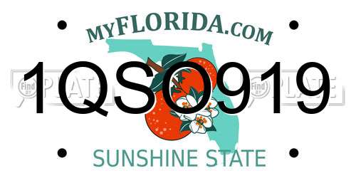 1QSO919 Florida License Plate