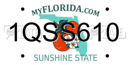 1QSS610 Florida License Plate