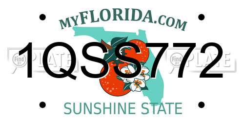 1QSS772 Florida License Plate