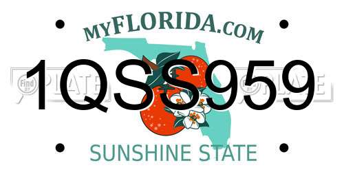 1QSS959 Florida License Plate