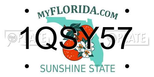 1QSY57 Florida License Plate