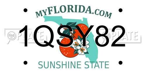 1QSY82 Florida License Plate