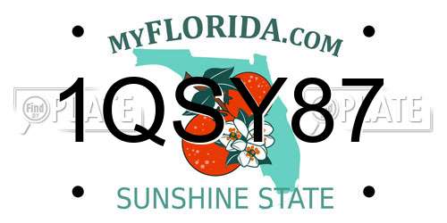 1QSY87 Florida License Plate